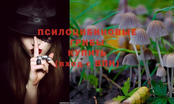 шишки Алексеевка
