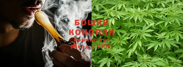 шишки Алексеевка