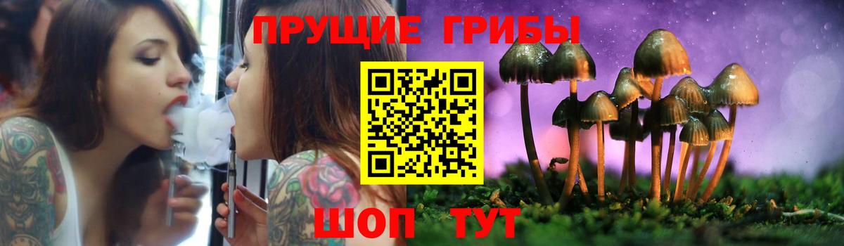 Псилоцибиновые грибы MAGIC MUSHROOMS  Вход с VPN  Павлово 