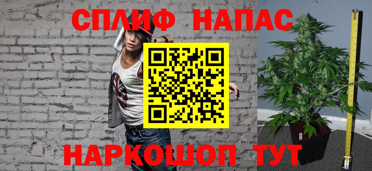 Конопля SATIVA & INDICA Павлово